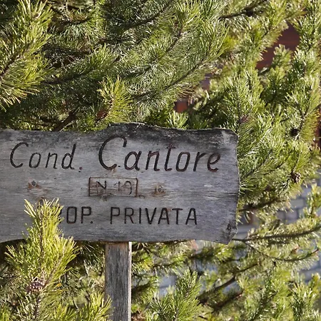 Cantore Dieci - Attico Cortina * Cortina d'Ampezzo